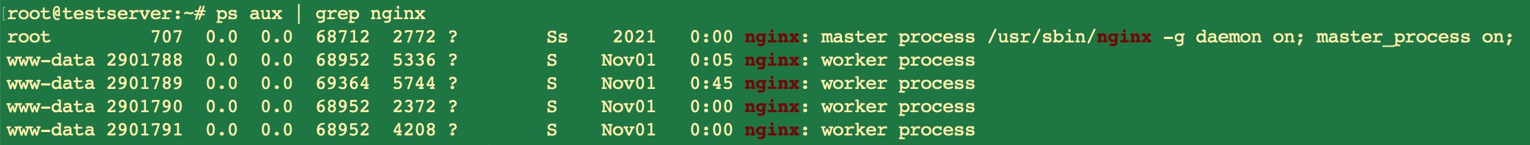 nginx